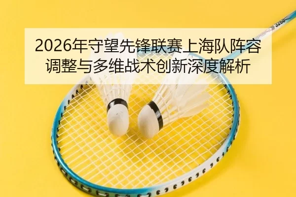 2026年守望先锋联赛上海队阵容调整与多维战术创新深度解析